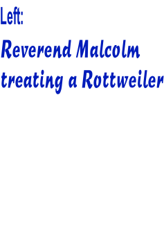 Left:  Reverend Malcolm  treating a Rottweiler