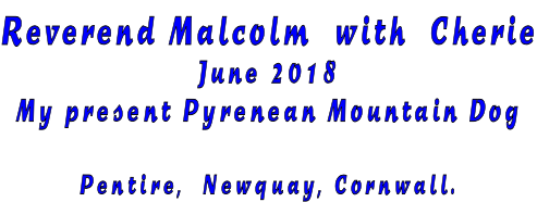 Reverend Malcolm  with  Cherie June 2018 My present Pyrenean Mountain Dog  Pentire,  Newquay, Cornwall.